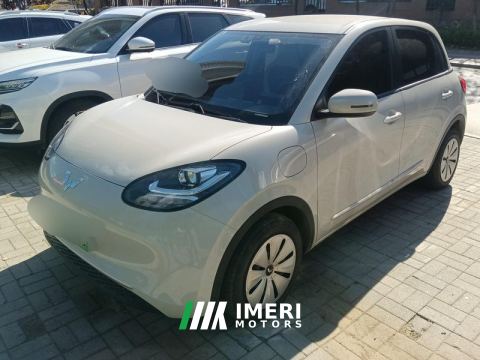 2024 Wuling Bingo Binguo 203km Light Enjoy Edition - ავტომობილი ჩინეთიდან