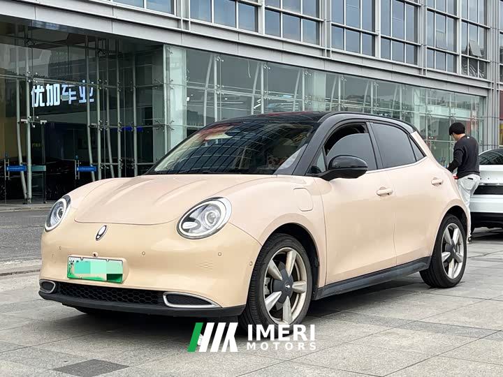 ORA Good Cat 400km Standard Range Athena Edition Ternary Lithium