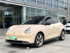 ORA Good Cat 400km Standard Range Athena Edition Ternary Lithium - ფოტო 1