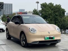 ORA Good Cat 400km Standard Range Athena Edition Ternary Lithium - ფოტო 3