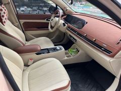 ORA Good Cat 400km Standard Range Athena Edition Ternary Lithium - ფოტო 8
