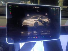 Tesla Model Y 554km Rear-Wheel Drive Edition - фото 20