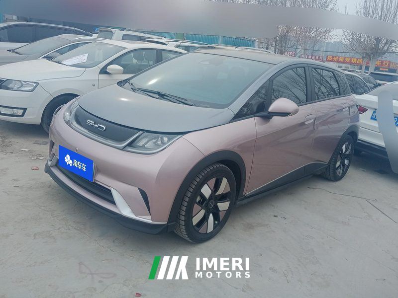 BYD Dolphin 401km Knight Edition - car from China