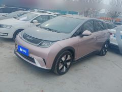 BYD Dolphin 401km Knight Edition - photo 1