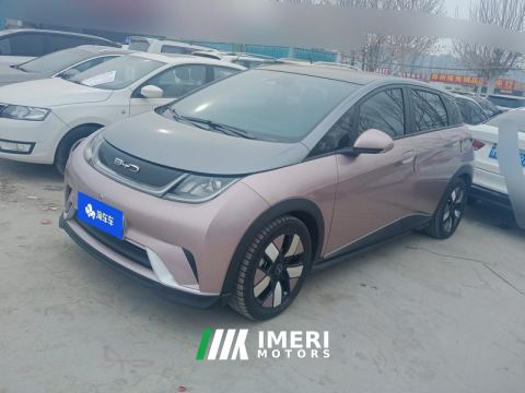 2021 BYD Dolphin 401km Knight Edition