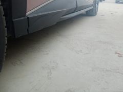 BYD Dolphin 401km Knight Edition - photo 10