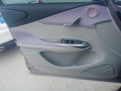 BYD Dolphin 401km Knight Edition - photo 12
