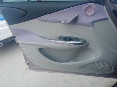 BYD Dolphin 401km Knight Edition - photo 13