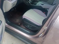BYD Dolphin 401km Knight Edition - photo 14