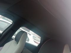 BYD Dolphin 401km Knight Edition - photo 15