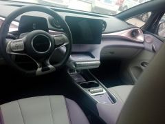 BYD Dolphin 401km Knight Edition - photo 16