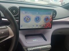 BYD Dolphin 401km Knight Edition - photo 17
