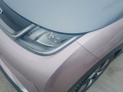 BYD Dolphin 401km Knight Edition - photo 4