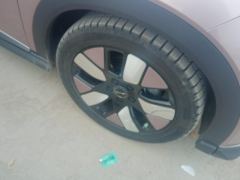 BYD Dolphin 401km Knight Edition - photo 6
