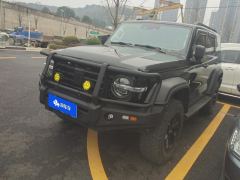 Tank 300 Off-Road Edition 2.0T Conqueror - photo 1
