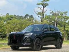 Hongqi HS5 2.0T 2WD Shadow Pro Edition - ფოტო 1