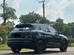 Hongqi HS5 2.0T 2WD Shadow Pro Edition - ფოტო 15