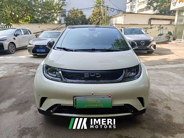 BYD Dolphin 420km Fashion Edition - car from China