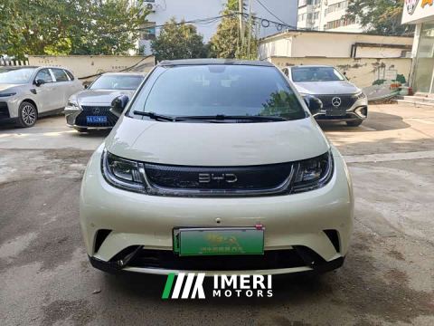 2024 BYD Dolphin 420km Fashion Edition - car from China