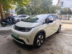 BYD Dolphin 420km Fashion Edition - photo 2