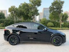 Tesla Model Y Standard endurance rear-wheel drive - ფოტო 3