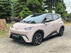 BYD Seagull 305km Freedom Edition - photo 1