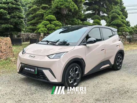2024 BYD Seagull 305km Freedom Edition - car from China