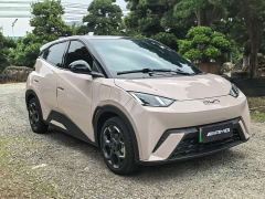 BYD Seagull 305km Freedom Edition - photo 3