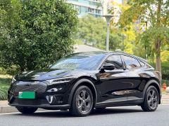 Ford Mustang Mach-E Standard Range RWD - ფოტო 1