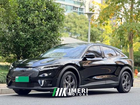 2022 Ford Mustang Mach-E Standard Range RWD - ავტომობილი ჩინეთიდან