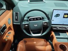 Li Auto L6 Pro - ფოტო 14