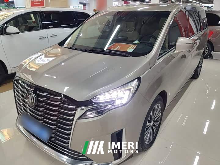 Buick GL8 ES Land Executive Luxury Enjoyable Edition