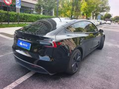 Tesla Model 3 606km Rear-Wheel Drive Edition - ფოტო 2
