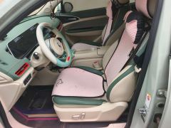 Ora Great Wall Good Cat 401km Luxury Edition - ფოტო 14