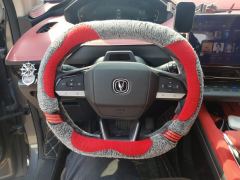 Changan CS55PLUS 1.5T Version - photo 18