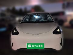 Geely Star Wish 310km Edition - ფოტო 2