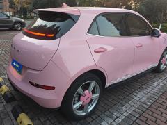 Ora Great Wall Good Cat 401km Standard Range Luxury Edition Ternary Lithium - ფოტო 2
