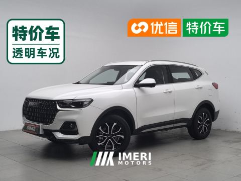 2023 Haval H6 Guochao Edition 1.5T 2WD Urban Edition - car from China