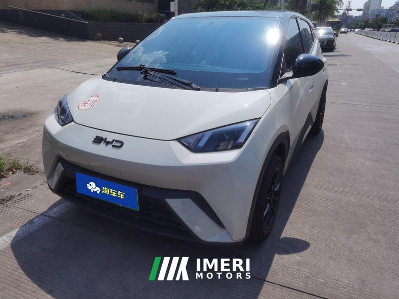 BYD Seagull Honor Edition 305km Vitality Edition