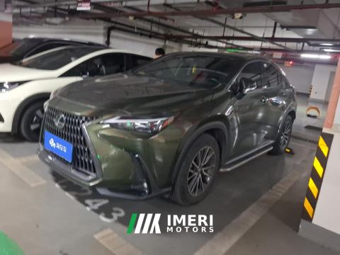 2022 Lexus NX 260 2WD Edition - car from China