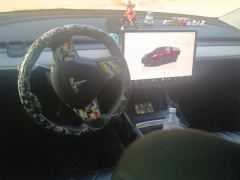 Tesla Model Y 554km Rear-Wheel Drive Edition - фото 16