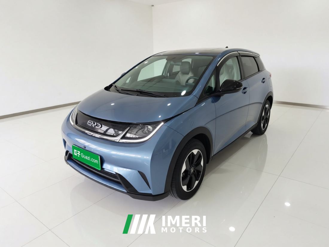 BYD Dolphin 420km Free Version - ავტომობილი ჩინეთიდან