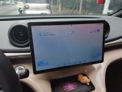 BYD Dolphin 420km Free Version - ფოტო 20