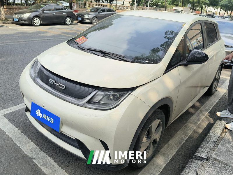 BYD Dolphin 420km Stylish Edition