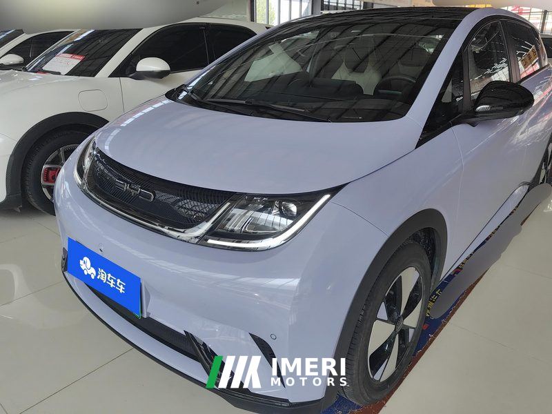 BYD Dolphin 420km Stylish Edition - ავტომობილი ჩინეთიდან