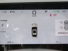 BYD Qin PLUS EV Smart Driving Edition 420km Leading Edition - ფოტო 17