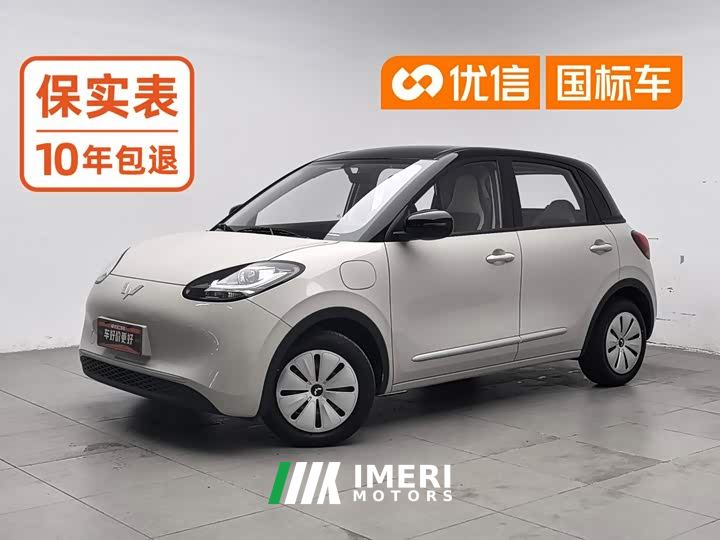 Wuling Binguo 203km Light Enjoy Edition