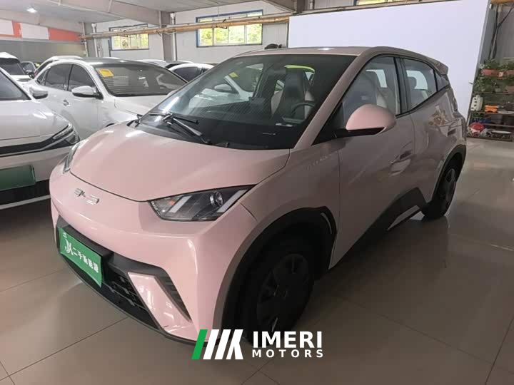 BYD Seagull Vitality Edition - ავტომობილი ჩინეთიდან
