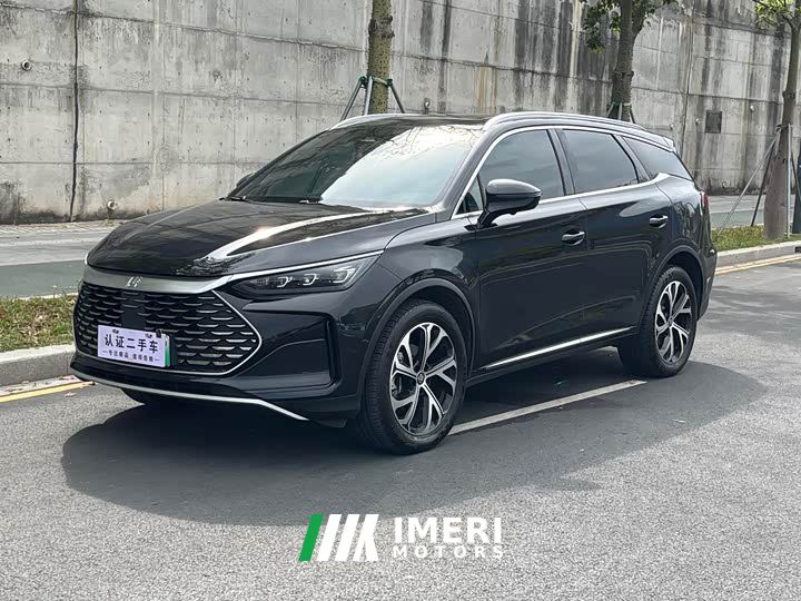 BYD Tang New Energy DM-i 115KM Premium Edition