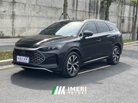 2025 BYD Tang New Energy DM-i 115KM Premium Edition